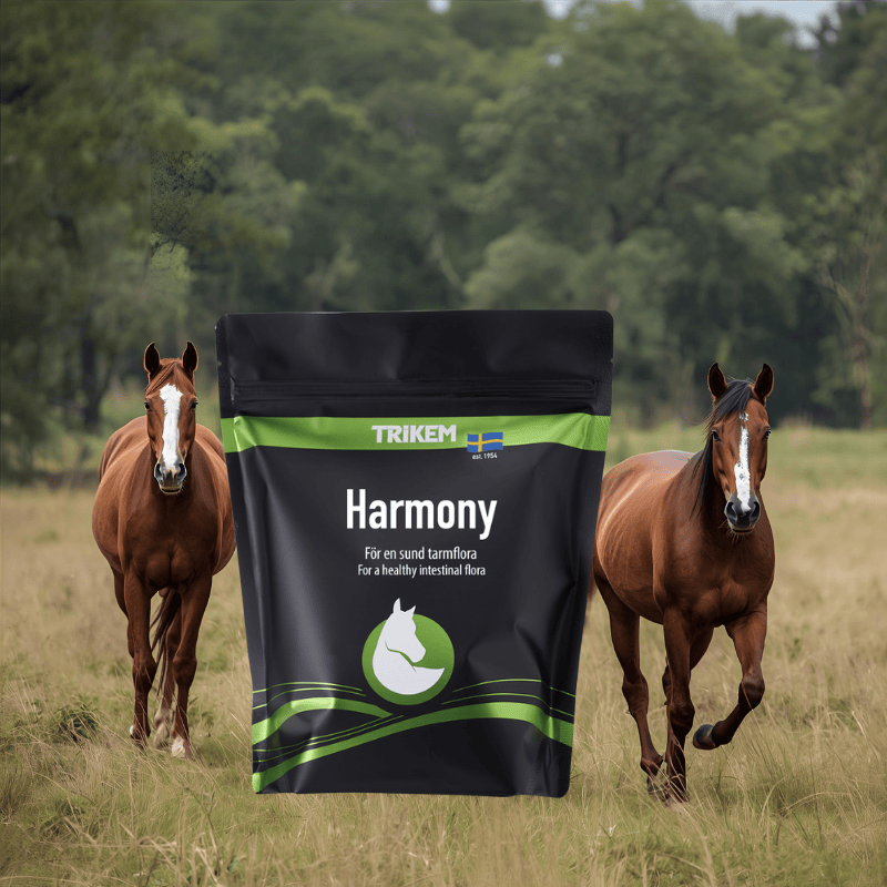 TRIKEM Harmony – jästtillskott för hästens grovtarm