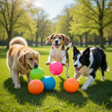 Hårdgummiboll för hund – Tålig leksak i hårdgummi