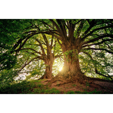 2-dagars retreat i Skåne 13–14 juni 2026