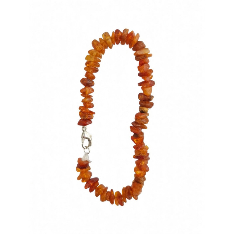 Bärnstenshalsband till hund