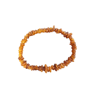 Bärnstenshalsband till hund