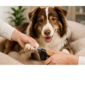 Kloklippning på hund med giljotinklotång