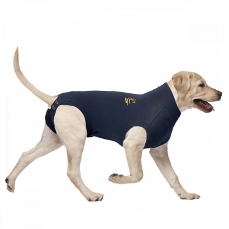 T&A Medical Pet Shirt blå Hundbody