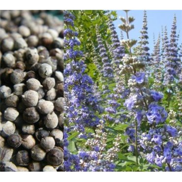 Munkpeppar Hel Torkat