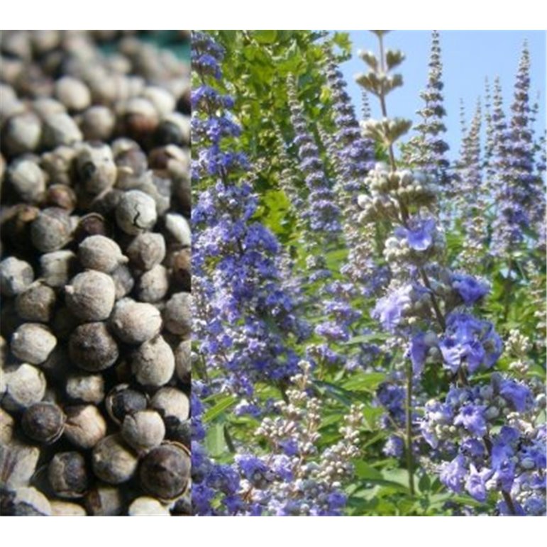 Munkpeppar Hel Torkat