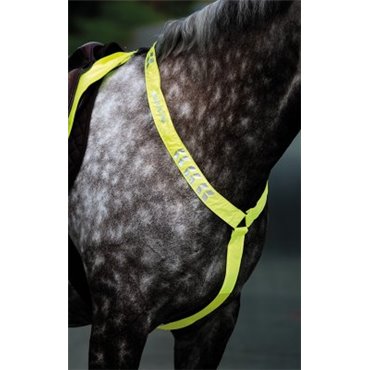 Equi-Flector® Reflex Brösta
