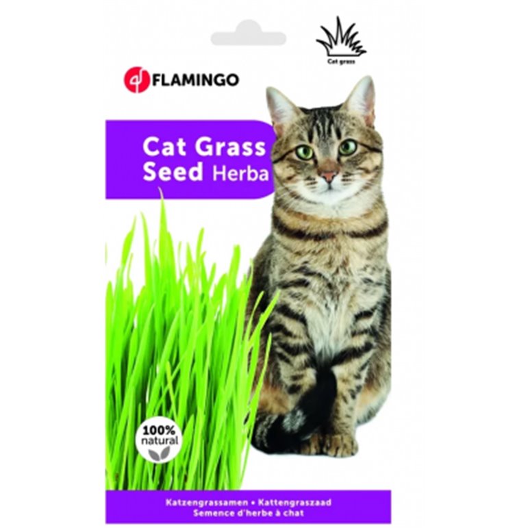 Kattgräs 100% naturligt gräs.