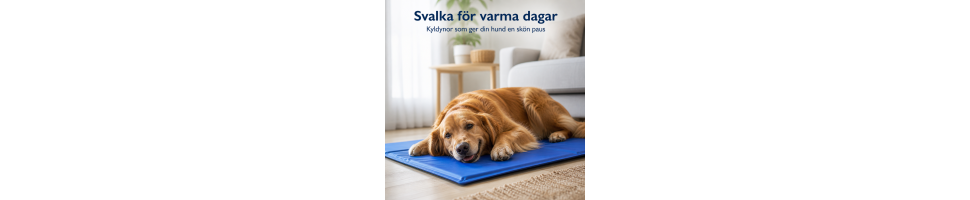 Kyldyna & kylmatta för hund – svalka i värme