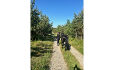 Skogsbad med Häst eller Ponny – Helande Upplevelse i Naturen den 9 augusti Skogsbad med Häst eller Ponny – Helande Upplevelse i Naturen den 9 augusti 