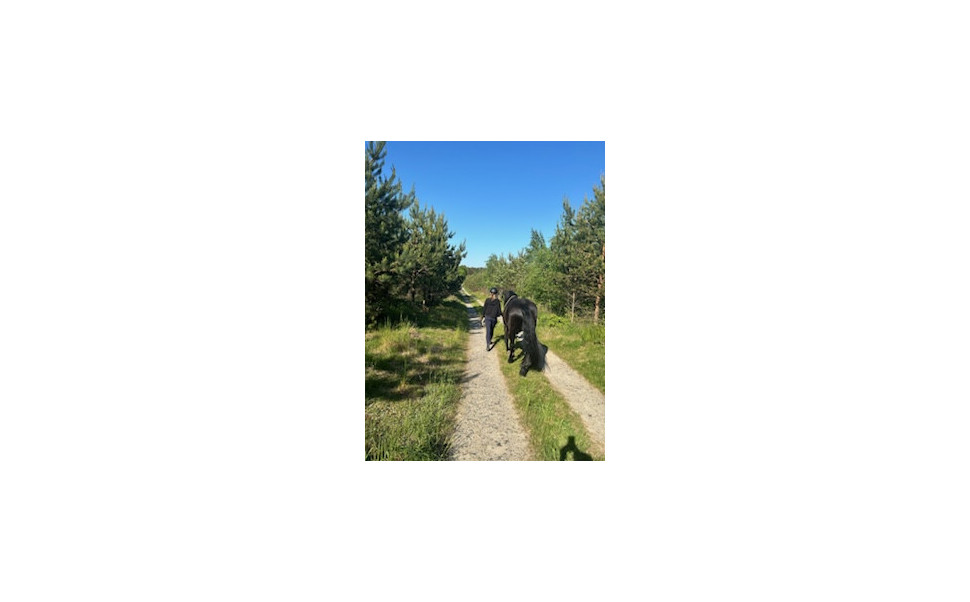 Skogsbad med Häst eller Ponny – Helande Upplevelse i Naturen den 9 augusti Skogsbad med Häst eller Ponny – Helande Upplevelse i Naturen den 9 augusti 