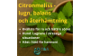 Citronmeliss – den glada, citrondoftande hjälten för lugn hos människor, hästar och hundar