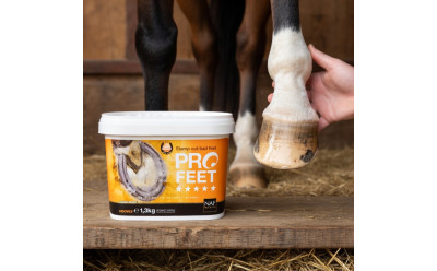 Spruckna hovar hos häst – orsaker, behandling och hovvård