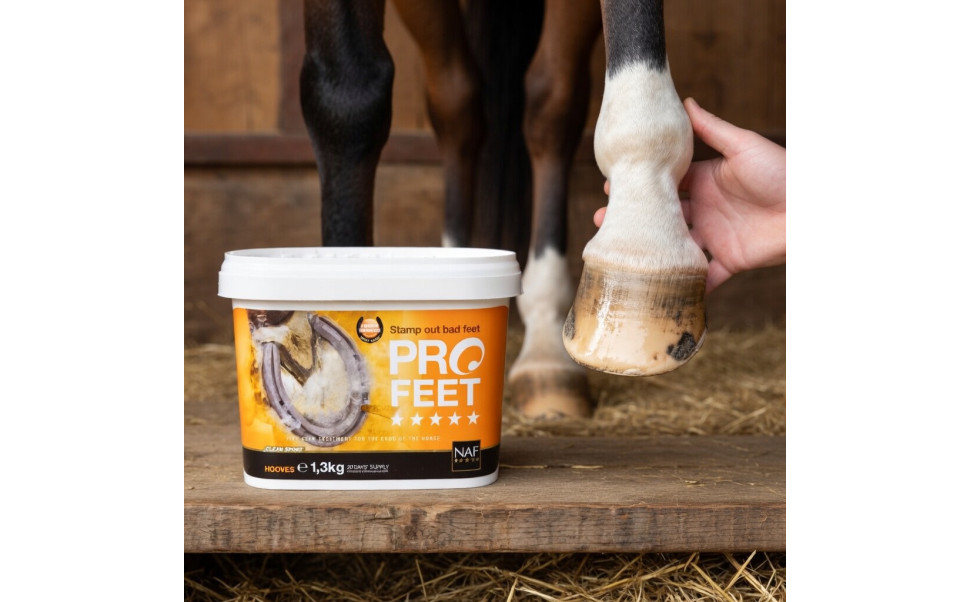 Spruckna hovar hos häst – orsaker, behandling och hovvård