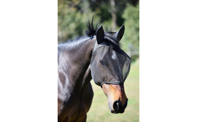 Flugmedel eller flughuva – vad är bäst för häst?