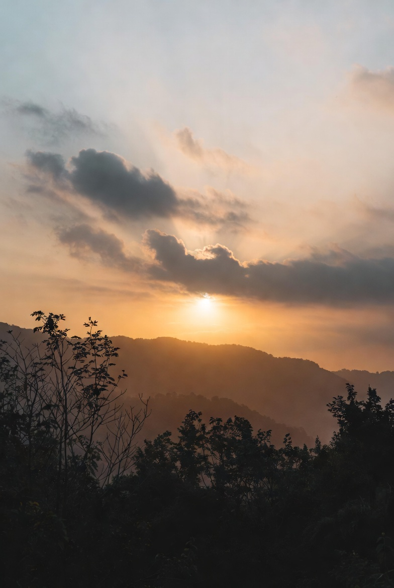 Fasta & Detox – guider, upplevelser och kroppens balans